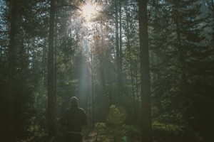 nature-sunny-man-person-medium